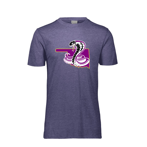 [FTSCUBRY-AS-LOGO3] Decker Men's Tri-Blend T-Shirt - Short Sleeve (Adult S, Royal, Logo 3)