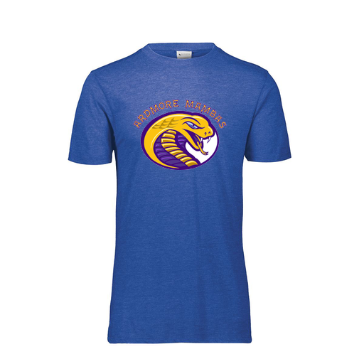 [FTSCUBRY-YS-LOGO2] Decker Youth Tri-Blend T-Shirt - Short Sleeve (Youth S, Royal, Logo 2)