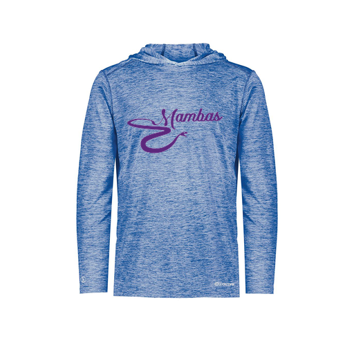 [FOLHCGRY-AS-LOGO1] Decker Men's Charge Hoodie (Adult S, Royal, Logo 1)